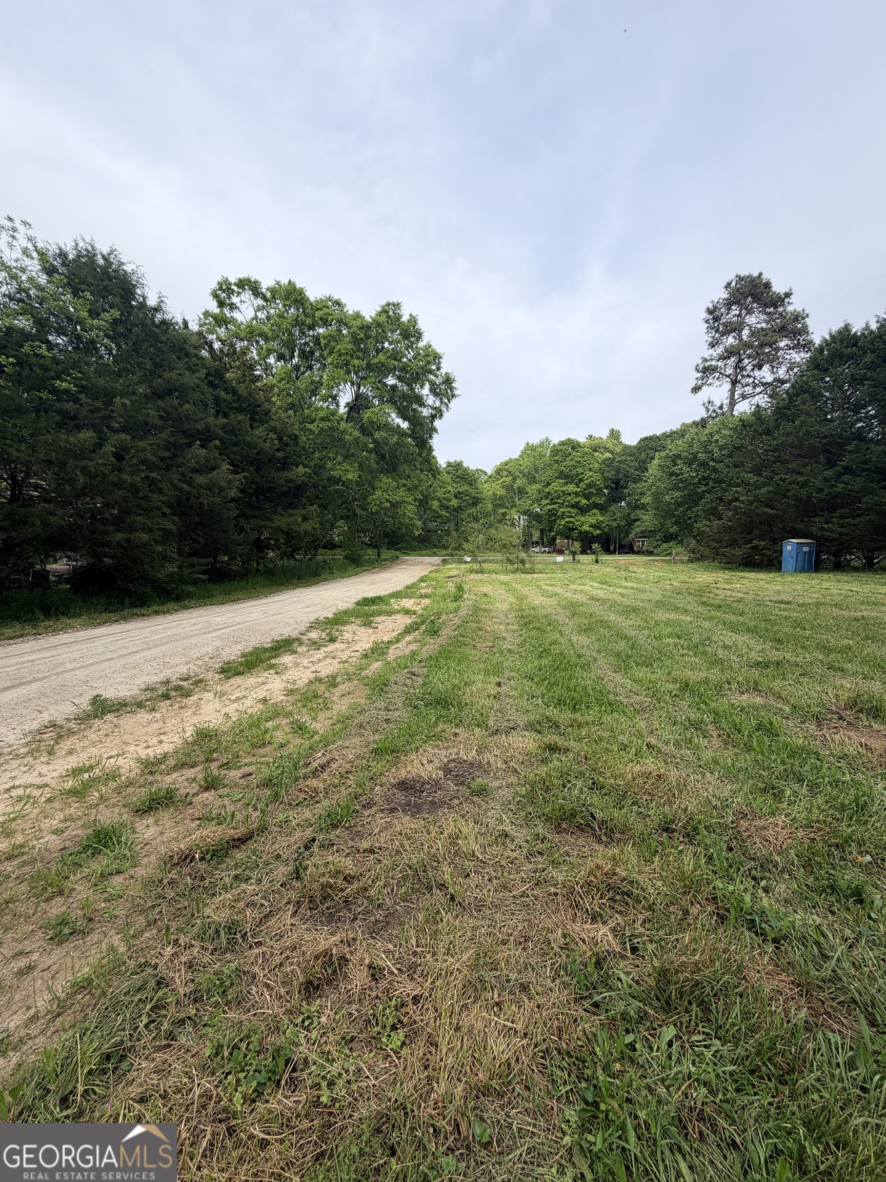 225 Rehoboth Road Bowman, GA 30624 - Photo 18 of 18 a view of yard with mountain