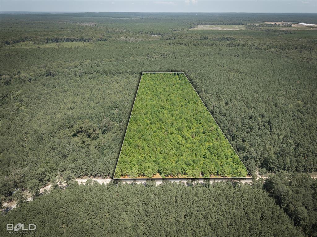 0 Abe Martin Road Plain Dealing, LA 71064 - Photo 1 of 4 Gallery Image 1