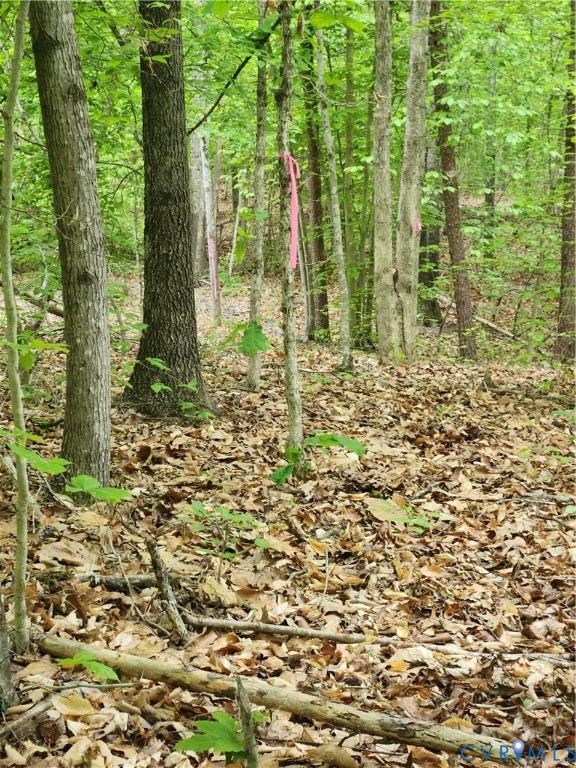 0 Bryants Ford Road Fork Union, VA 23055 - Photo 2 of 14 Follow the pink ribbon line to the proposed homesi