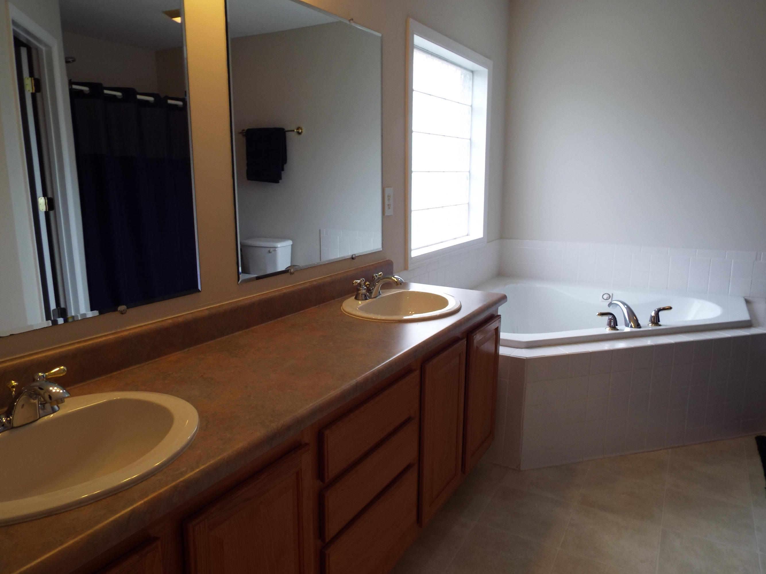 5619 J. Riley W Drive Greenback, TN 37742 - Photo 15 of 34 Master Bathroom/ Double Vanity