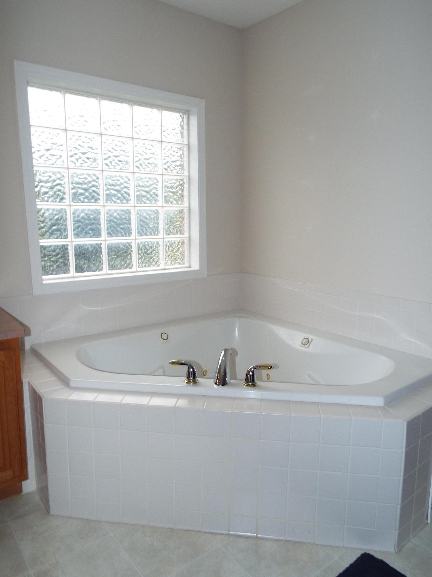 5619 J. Riley W Drive Greenback, TN 37742 - Photo 16 of 34 Great Whirlpool Tub