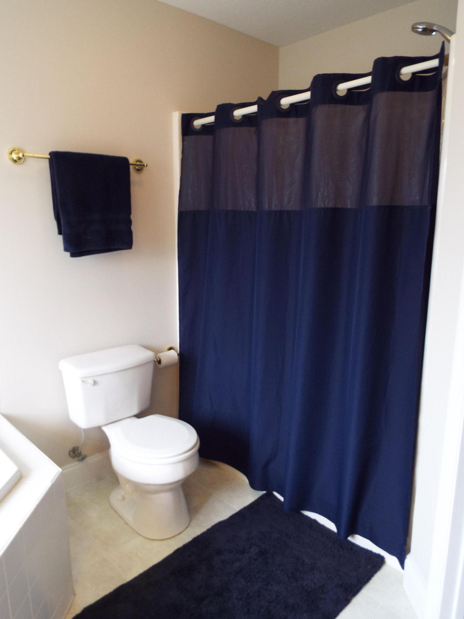 5619 J. Riley W Drive Greenback, TN 37742 - Photo 17 of 34 Large Shower Space
