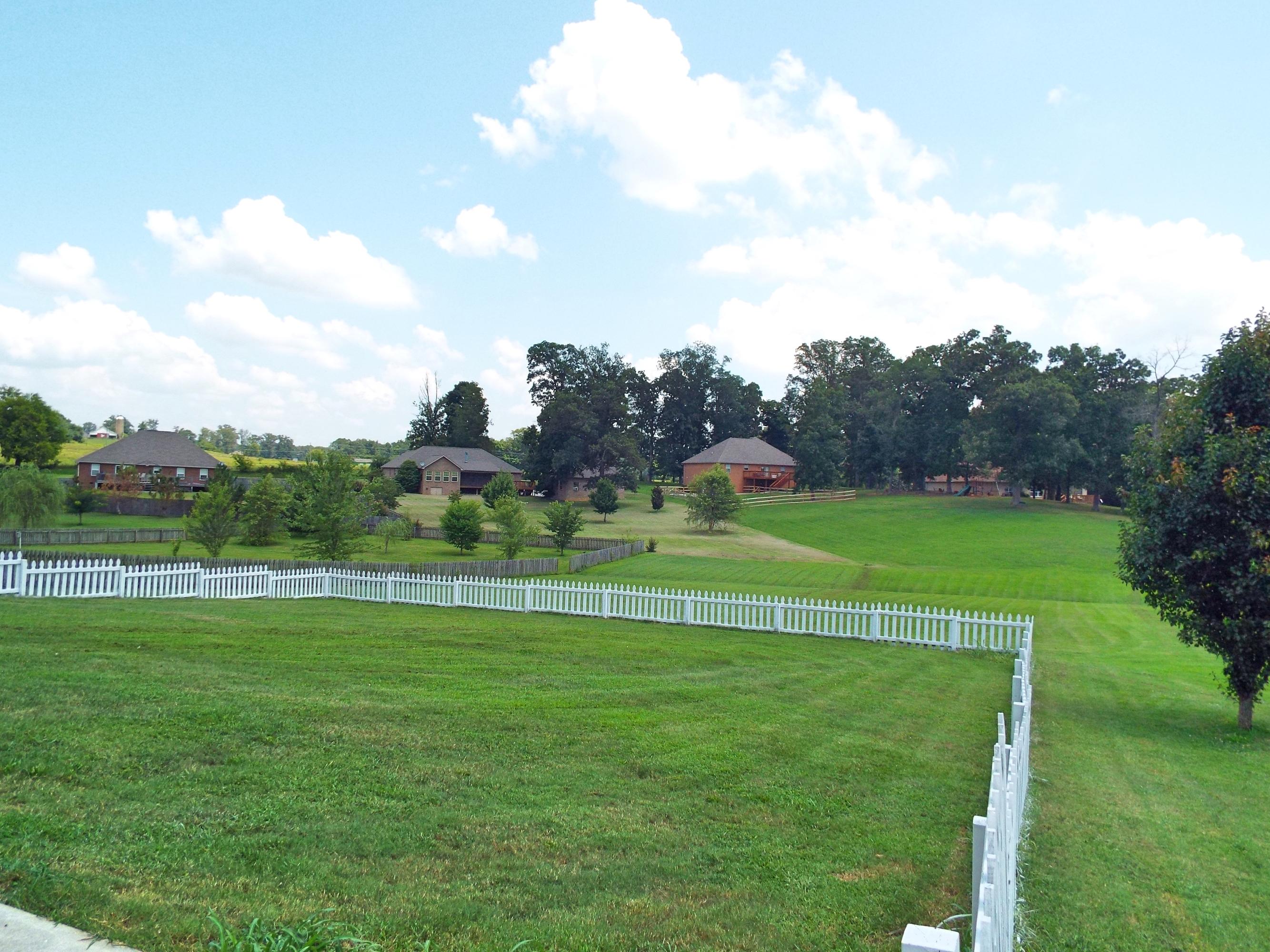 5619 J. Riley W Drive Greenback, TN 37742 - Photo 31 of 34 Fenced Back Yard- property extends out