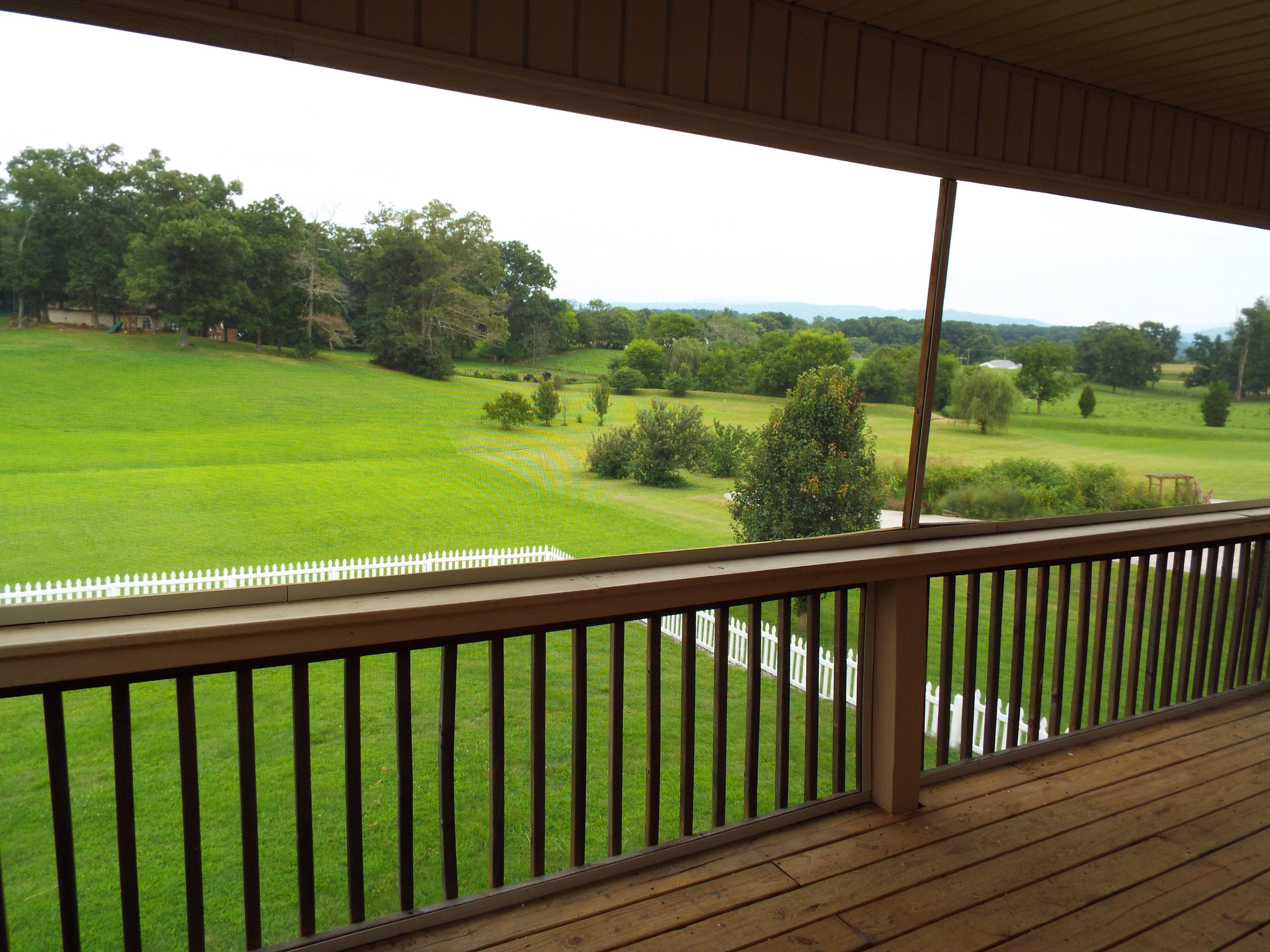 5619 J. Riley W Drive Greenback, TN 37742 - Photo 5 of 34 Gorgeous Views & Fenced Backyard
