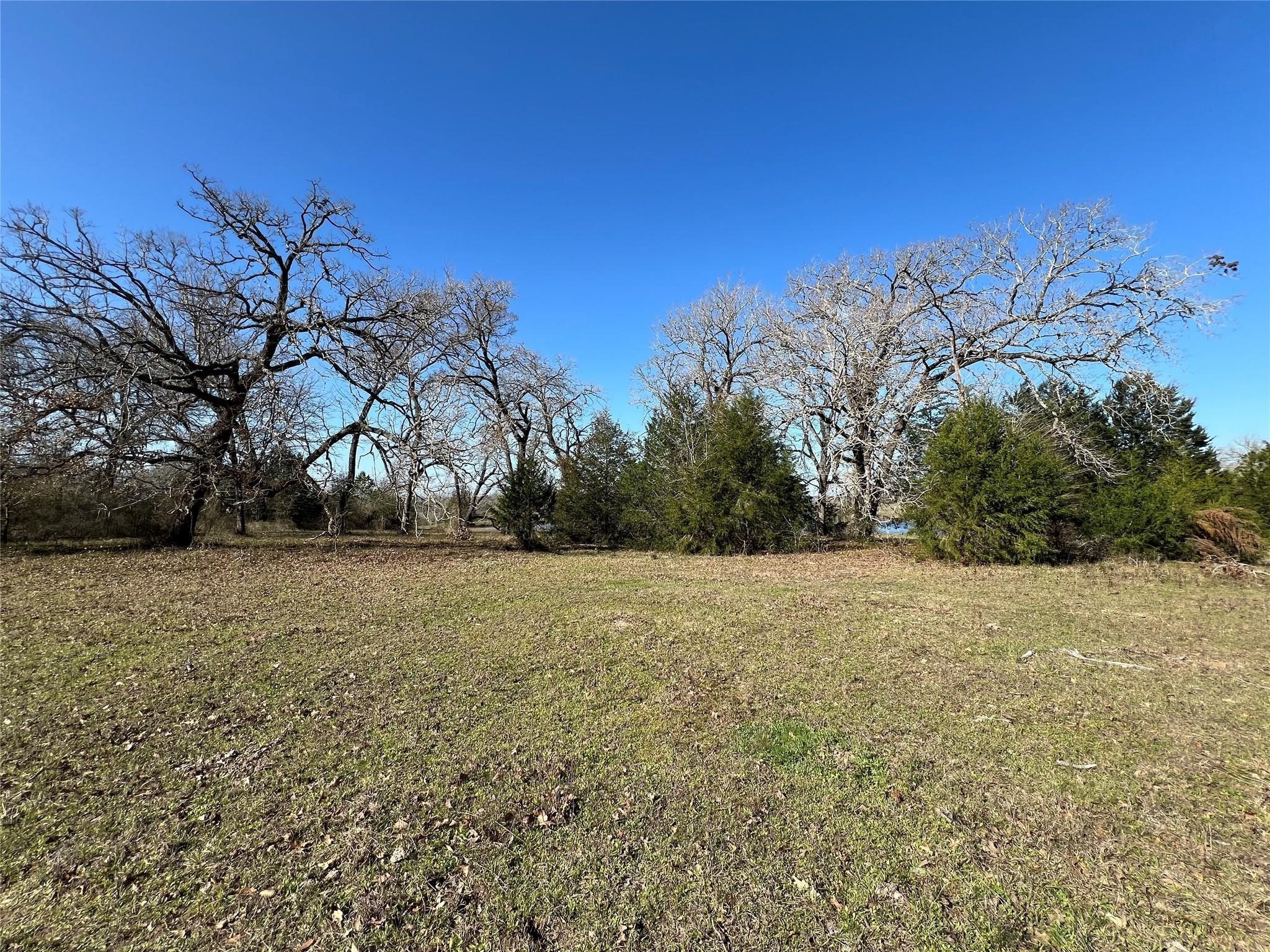19285 Moriarty Road Richards, TX 77873 - Photo 2 of 17 Gallery Image 2