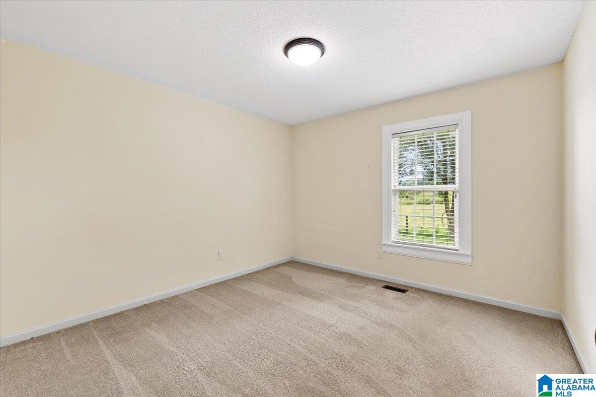 270 Reneau Road Oneonta, AL 35121 - Photo 17 of 38