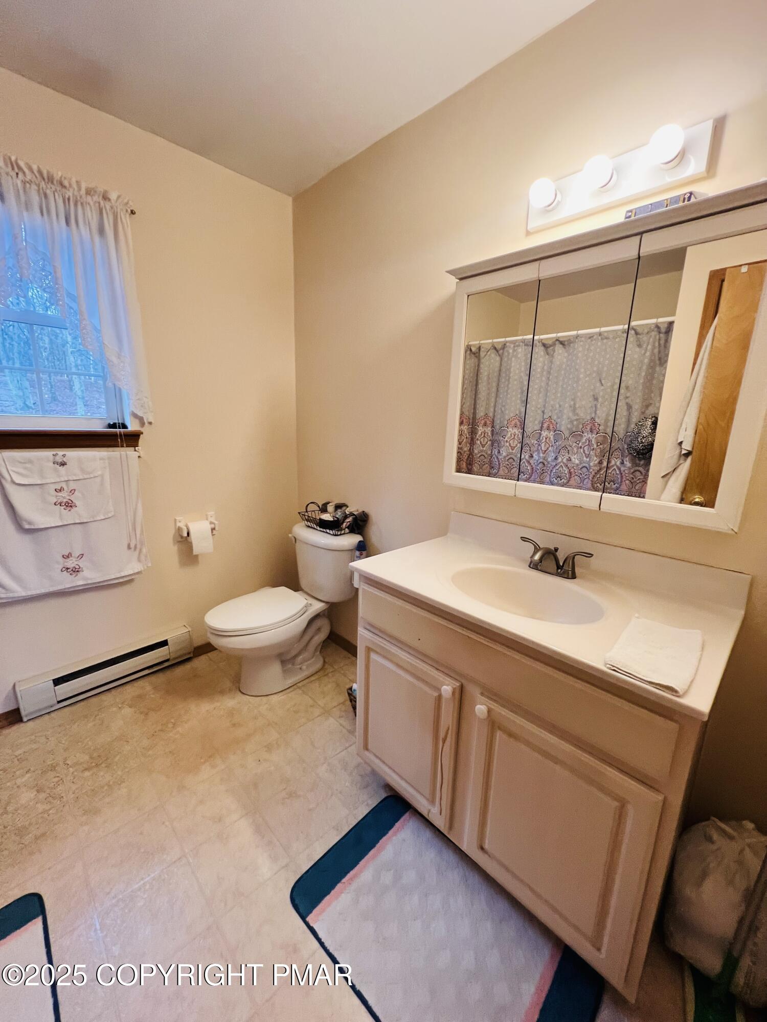 4373 Pine Ridge Drive East Bushkill, PA 18324 - Photo 21 of 39 a spacious bathroom with a toilet a sink and a mirror