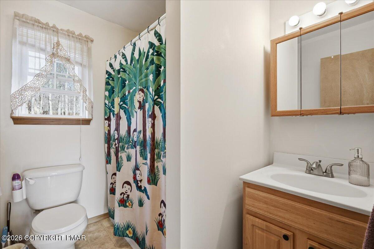 4373 Pine Ridge Drive East Bushkill, PA 18324 - Photo 33 of 33 a bathroom with a sink a toilet and a shower curtain