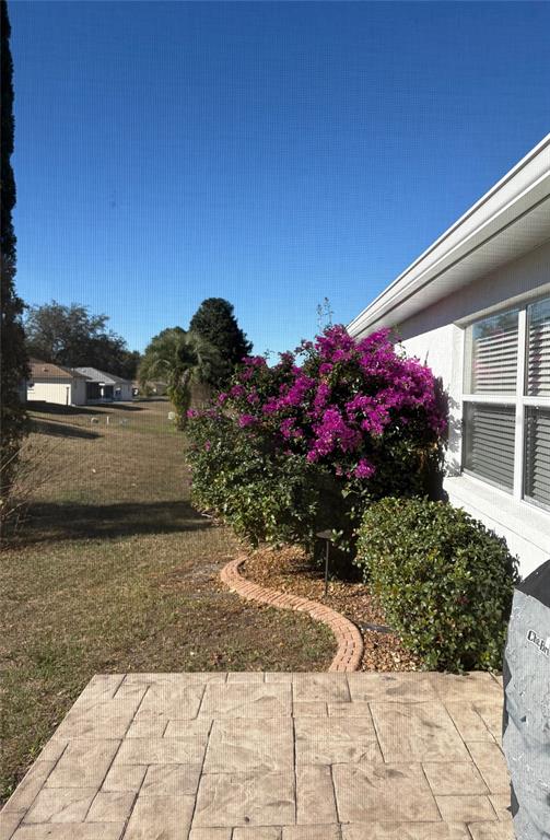 9746 Southwest 96th Street Ocala, FL 34481 - Photo 53 of 57 a view of a garden with flowers and flowers