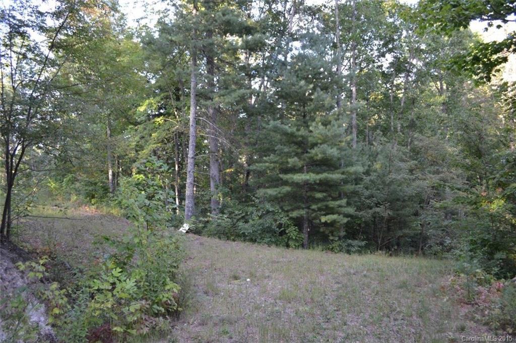L2 Wild Turkey Road, Unit 2 Cullowhee, NC 28723 - Photo 1 of 9 Gallery Image 1