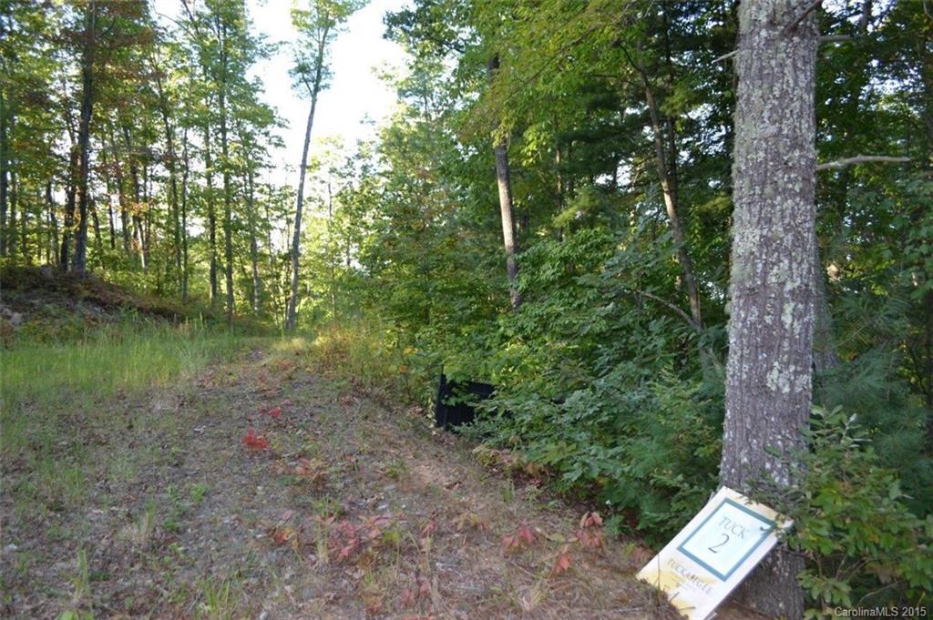L2 Wild Turkey Road, Unit 2 Cullowhee, NC 28723 - Photo 2 of 9 Gallery Image 2