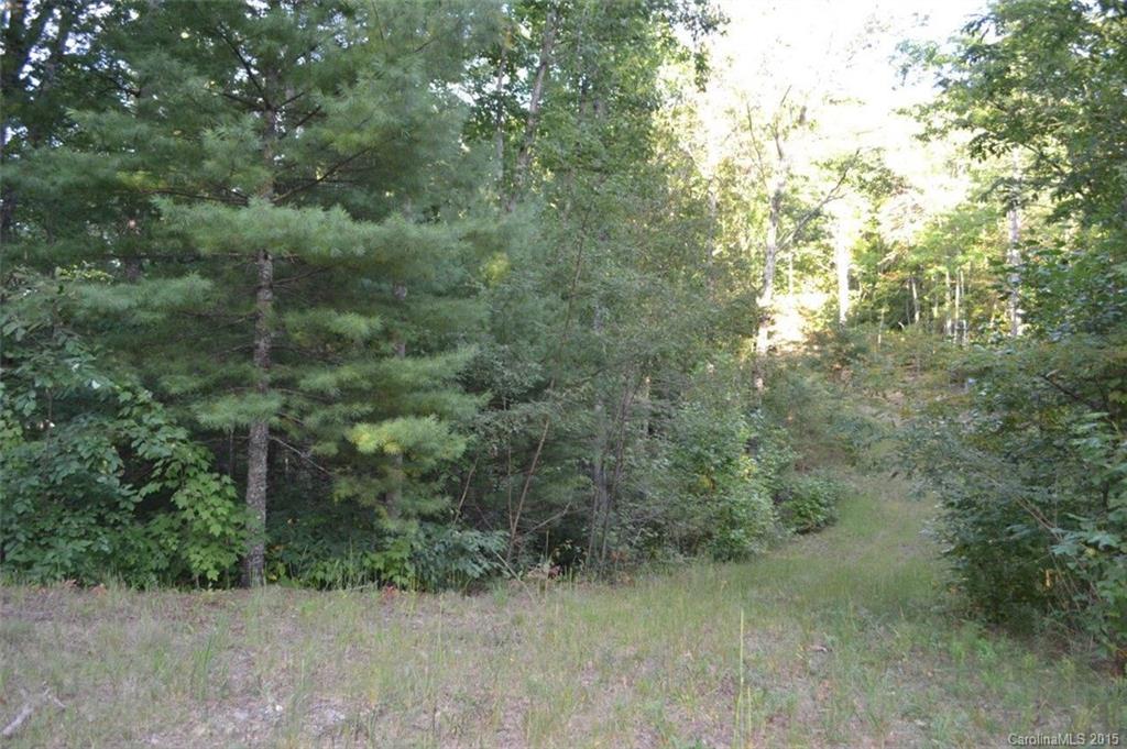 L2 Wild Turkey Road, Unit 2 Cullowhee, NC 28723 - Photo 3 of 9 Gallery Image 3