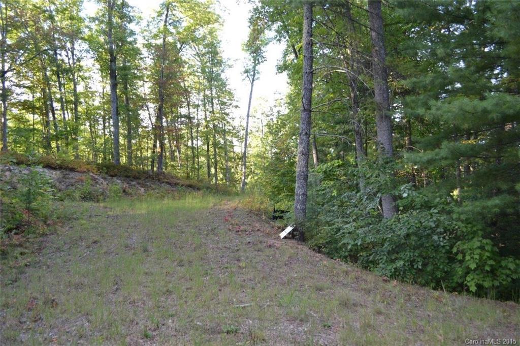 L2 Wild Turkey Road, Unit 2 Cullowhee, NC 28723 - Photo 4 of 9 Gallery Image 4