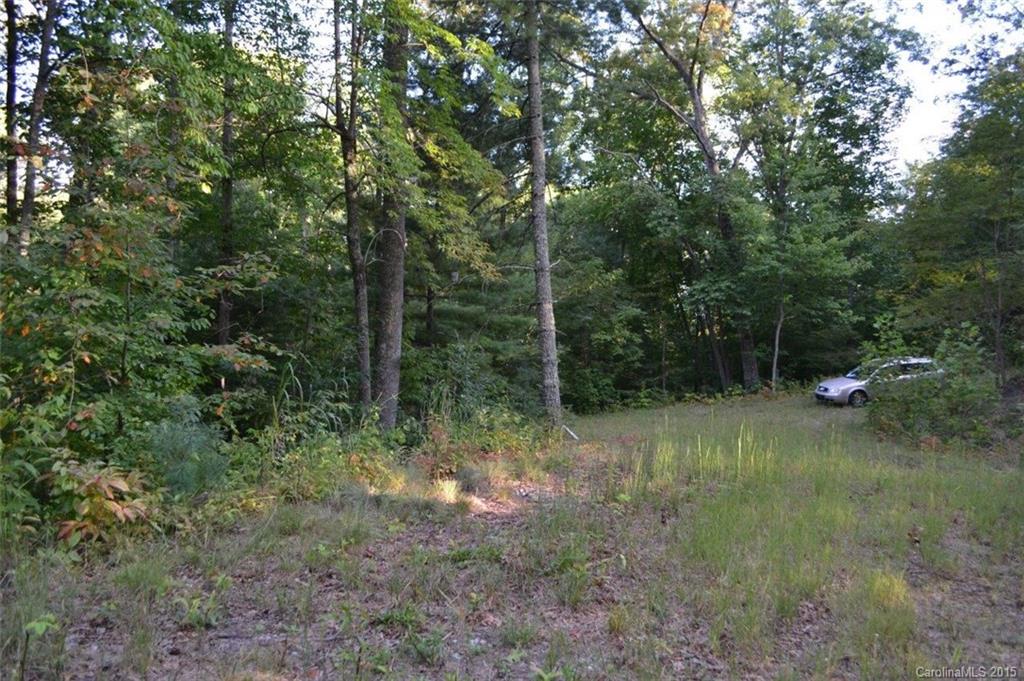L2 Wild Turkey Road, Unit 2 Cullowhee, NC 28723 - Photo 6 of 9 Gallery Image 6