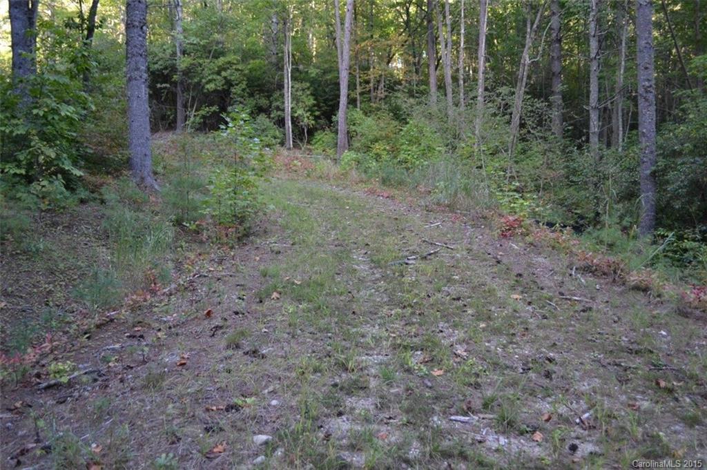 L2 Wild Turkey Road, Unit 2 Cullowhee, NC 28723 - Photo 7 of 9 Gallery Image 7