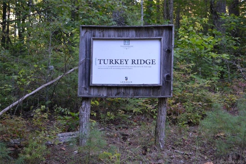 L2 Wild Turkey Road, Unit 2 Cullowhee, NC 28723 - Photo 8 of 9 Gallery Image 8