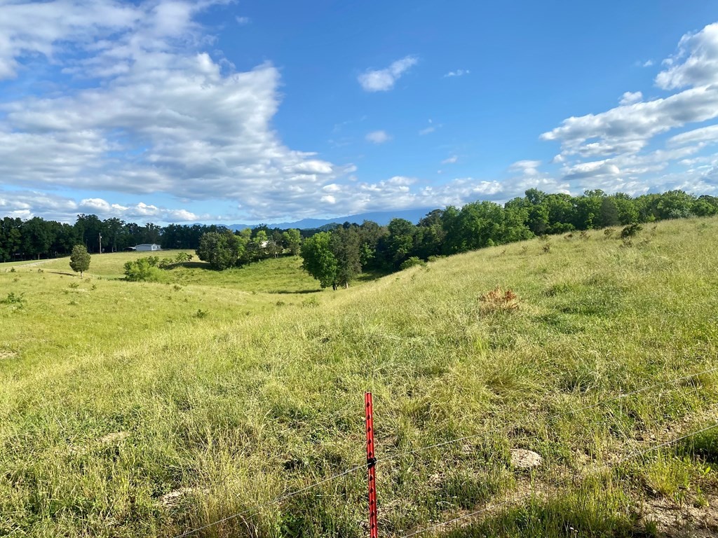 0 Walnut Grove Road Sevierville, TN 37876 - Photo 8 of 21