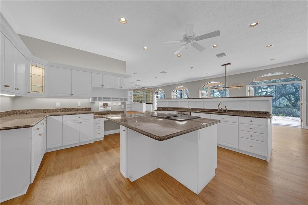 1141 Myrtle Road Valrico, FL 33596 - Photo 22 of 68