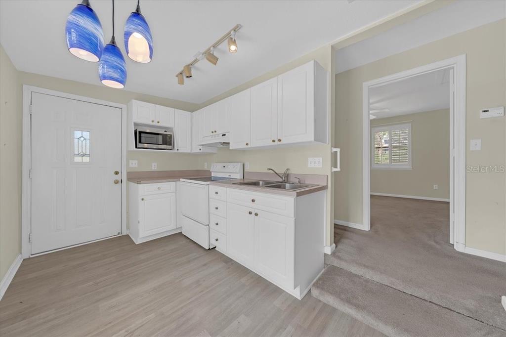 1141 Myrtle Road Valrico, FL 33596 - Photo 54 of 68