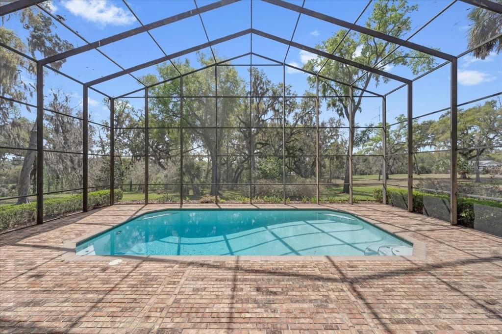 1141 Myrtle Road Valrico, FL 33596 - Photo 6 of 68