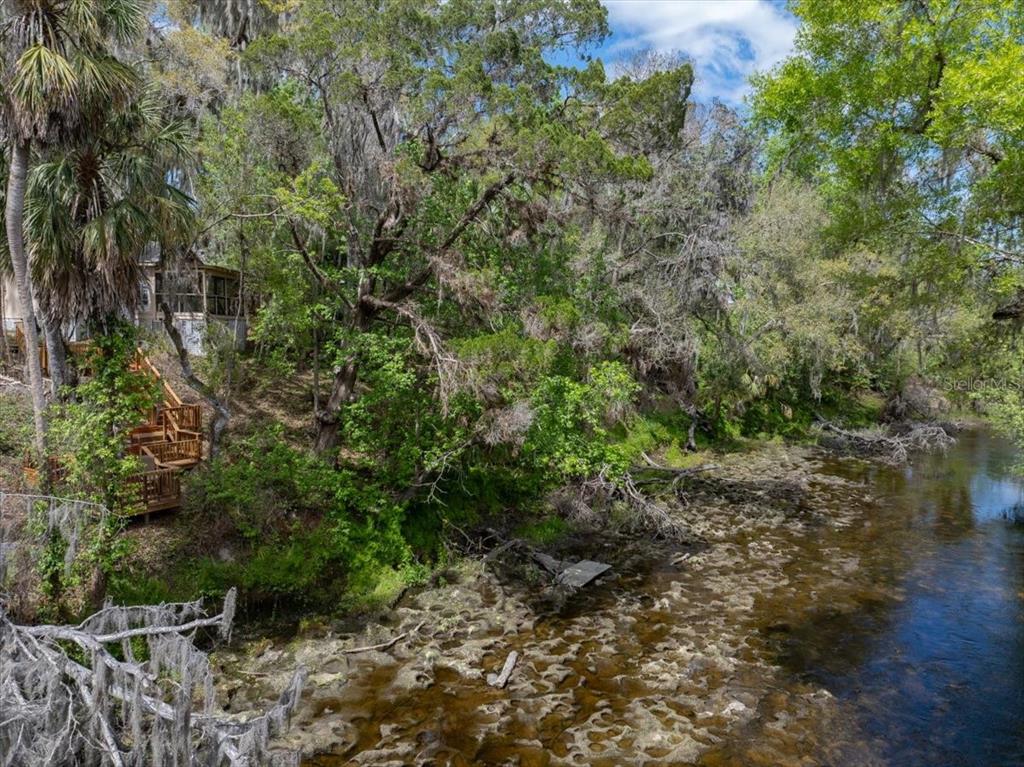 1141 Myrtle Road Valrico, FL 33596 - Photo 9 of 68
