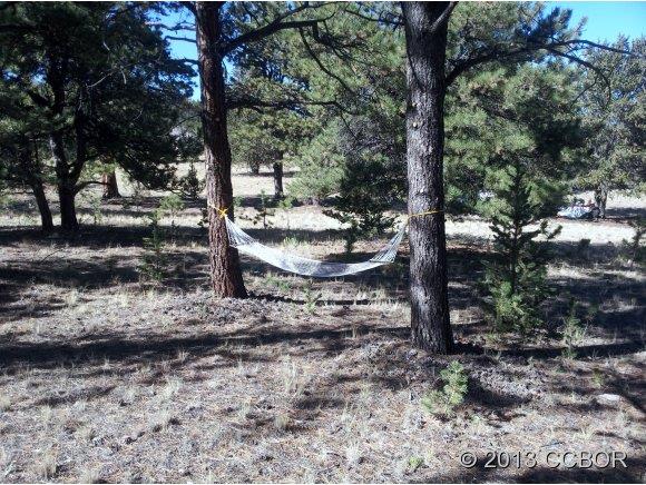 255 Jefferson Road Hartsel, CO 80449 - Photo 2 of 7 a view of a yard with trees