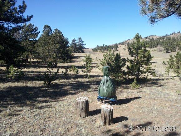 255 Jefferson Road Hartsel, CO 80449 - Photo 3 of 7 a view of a fire pit with flower plants