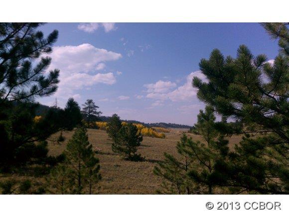 255 Jefferson Road Hartsel, CO 80449 - Photo 4 of 7 a view of a sky