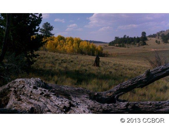 255 Jefferson Road Hartsel, CO 80449 - Photo 5 of 7 a view of a lake in middle of the house