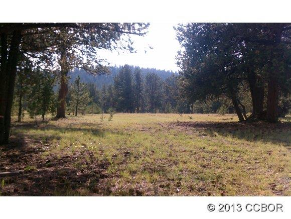 255 Jefferson Road Hartsel, CO 80449 - Photo 6 of 7 a view of outdoor space with trees