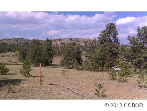 255 Jefferson Road Hartsel, CO 80449 - Photo 7 of 7 a view of a yard with a tree
