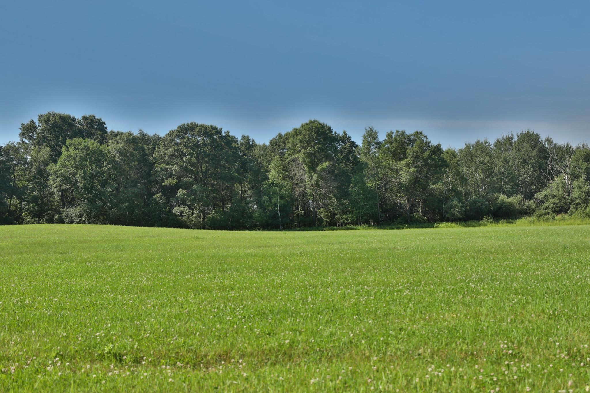 38.85-ac County Road East Pittsville, WI 54466 - Photo 40 of 50