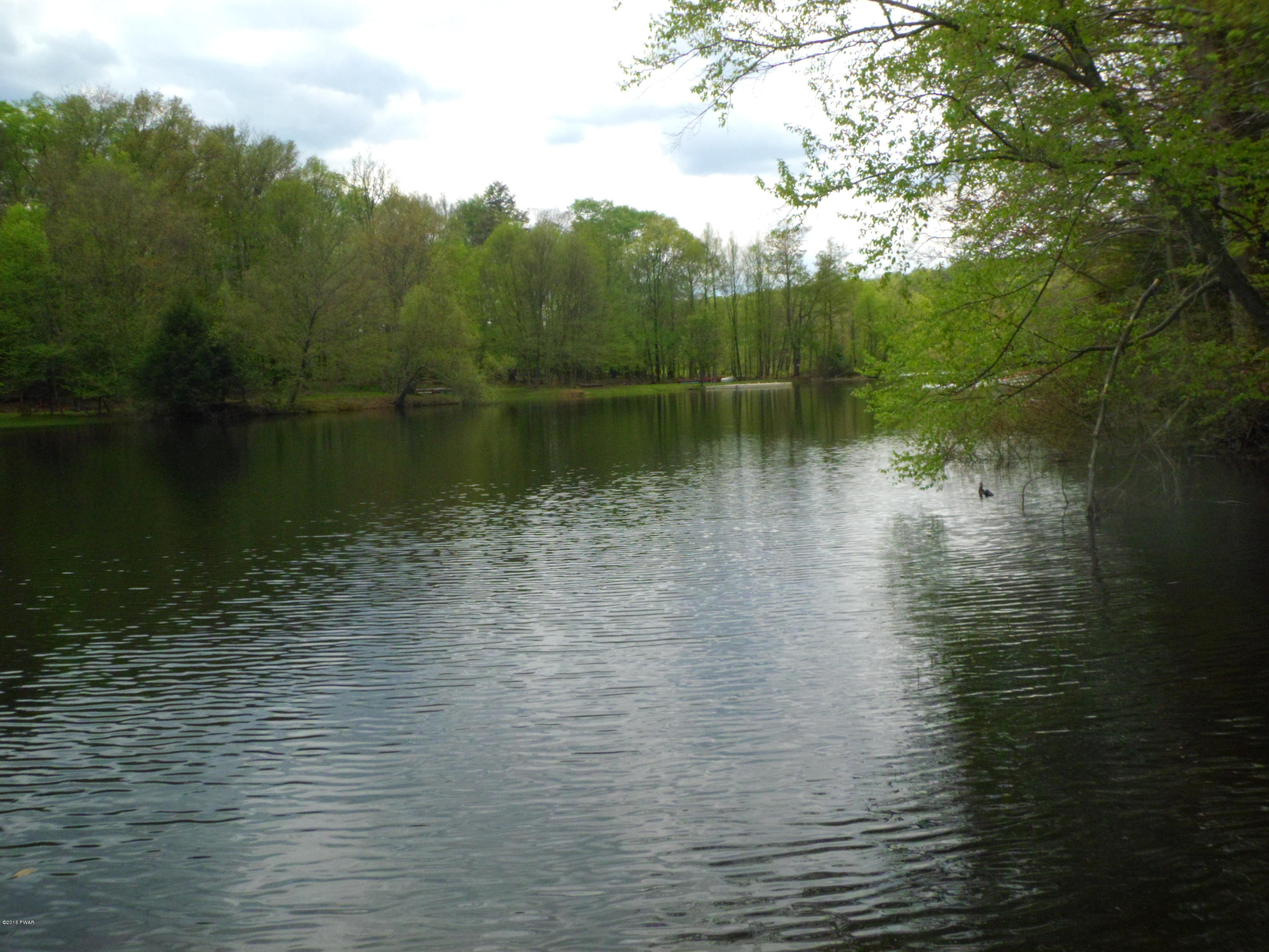 255 Sterling Shrs Road Lake Ariel, PA 18436 - Photo 3 of 17