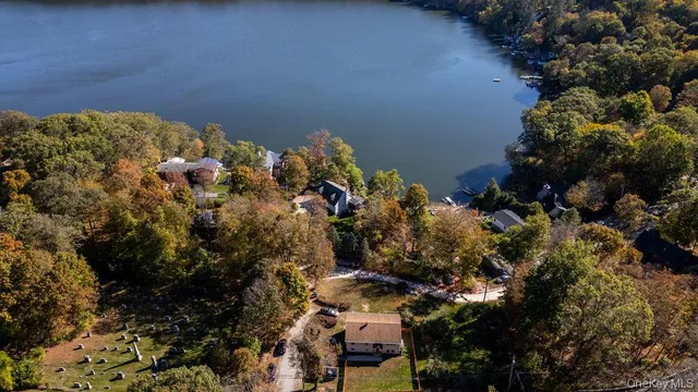 a view of a bunch of flowers and trees