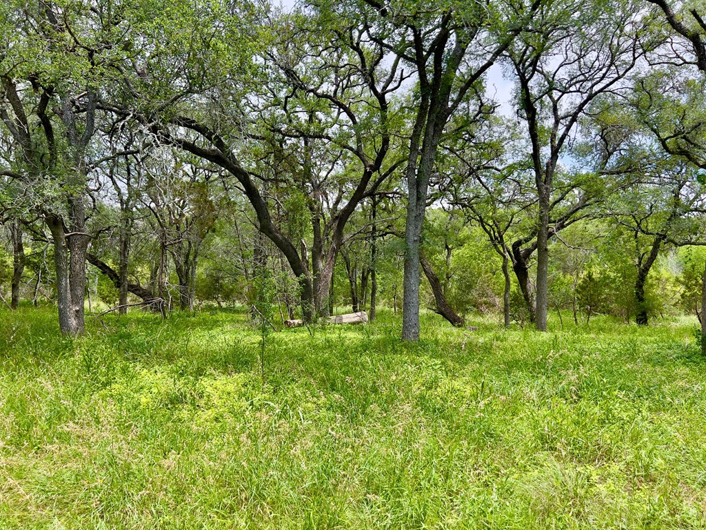 Tbd Narrows Road, Unit 19PT Blanco, TX 78606 - Photo 6 of 8