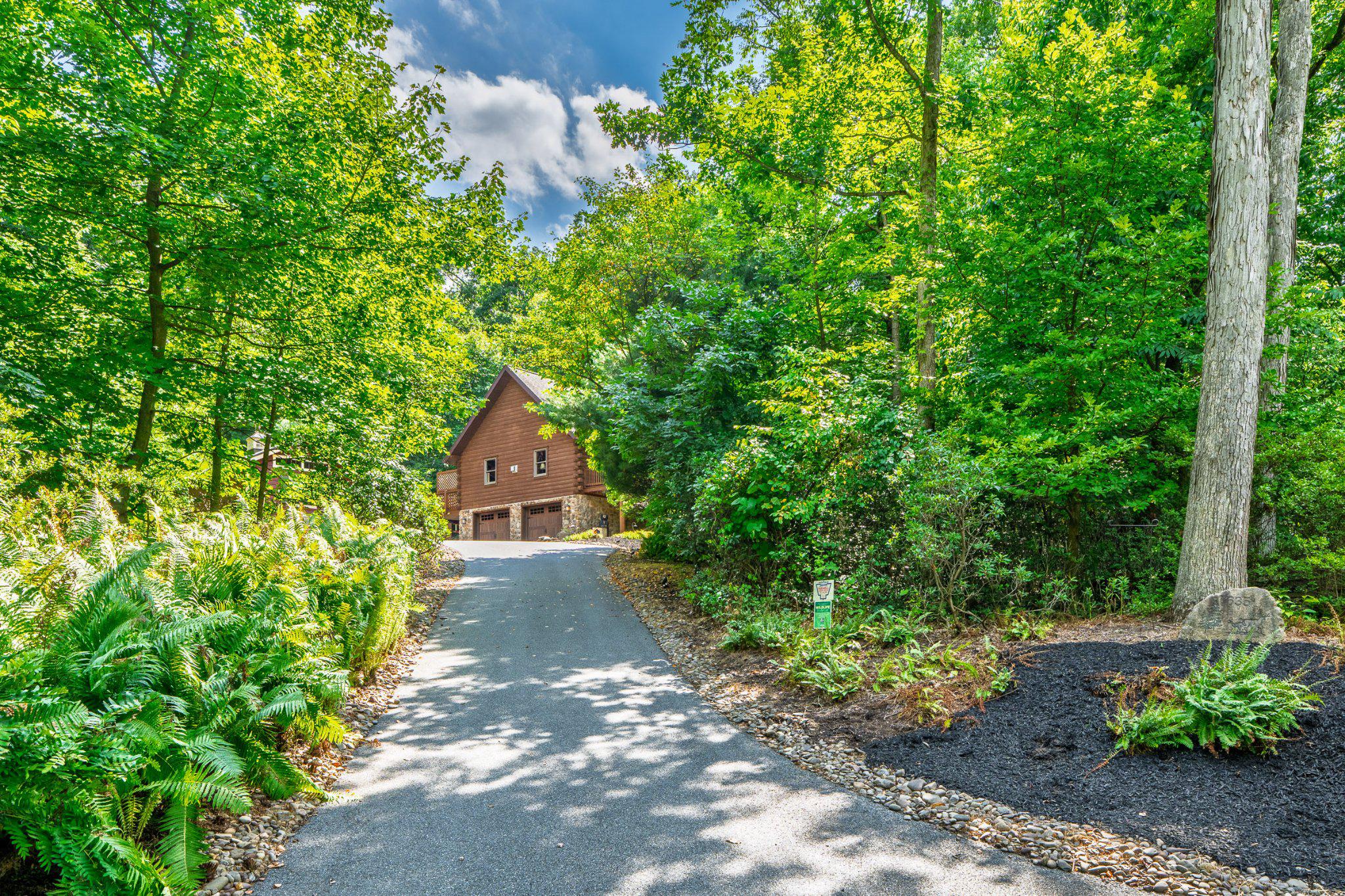 635 Laurel Ridge Road Reinholds, PA 17569 - Photo 2 of 63 Tree-lined driveway leads you to peace & serenity