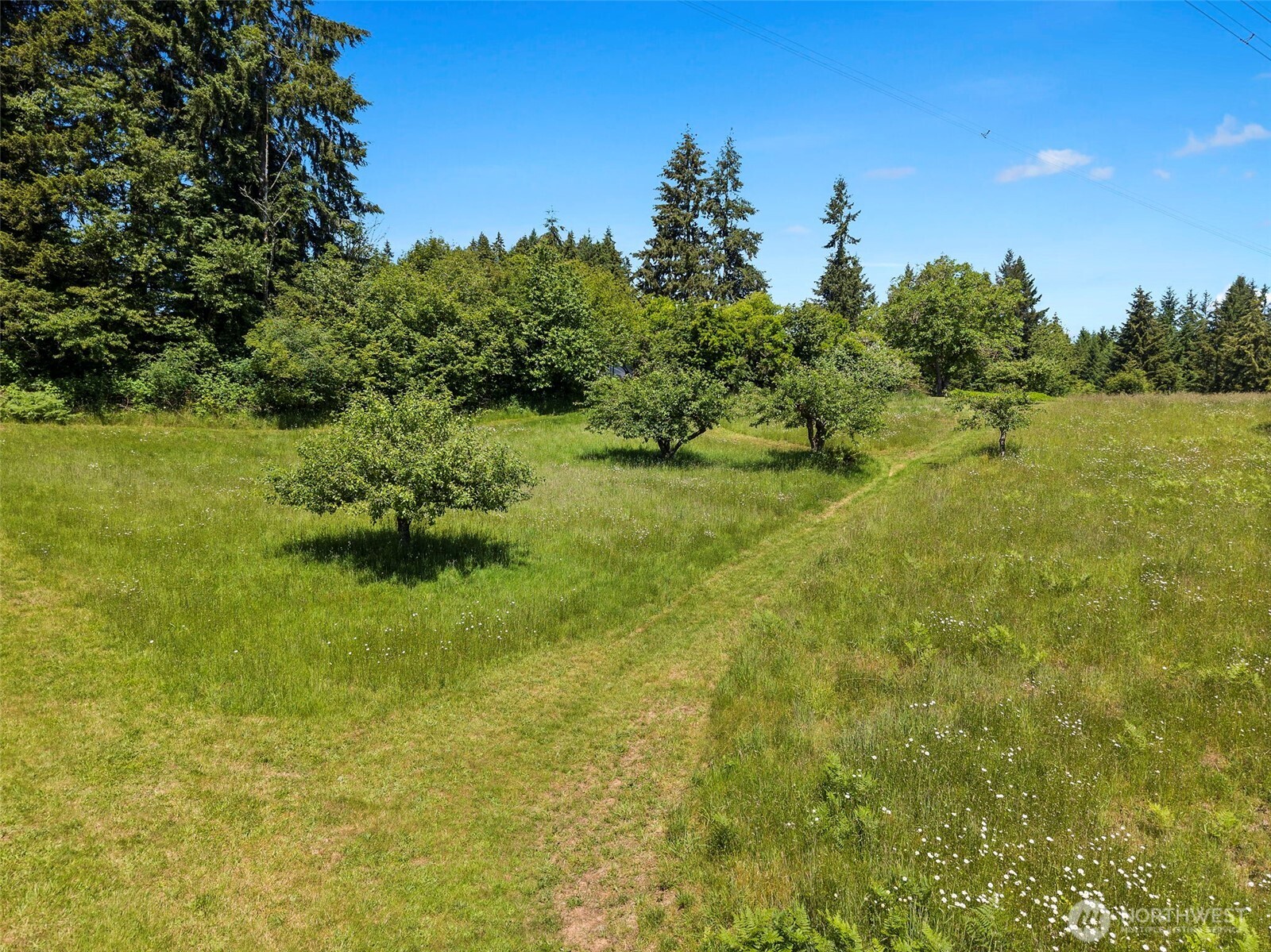 242 Kennicott Road Chehalis, WA 98532 - Photo 35 of 40