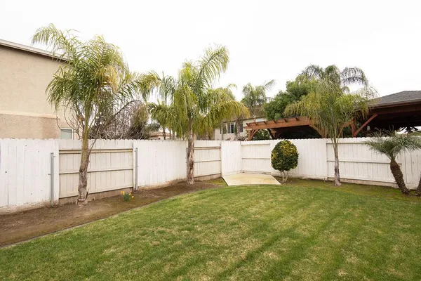 a view of a backyard