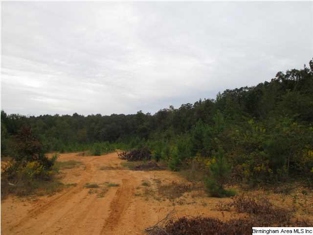 76 Morris Farms Drive Riverside, AL 35135 - Photo 4 of 6