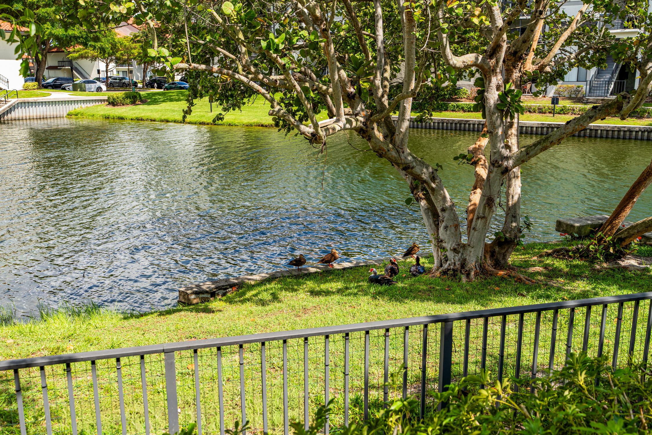 5158 Majorca Club Drive Boca Raton, FL 33486 - Photo 25 of 37 DSC07064