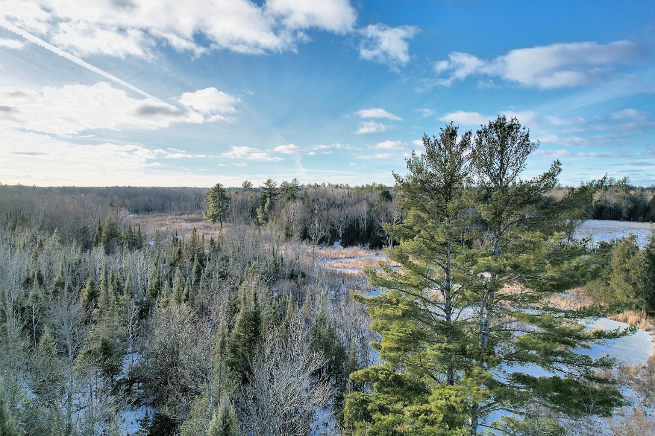 Lot Sundstein Sundstein Road Eagle River, WI 54521 - Photo 10 of 12 Gallery Image 10