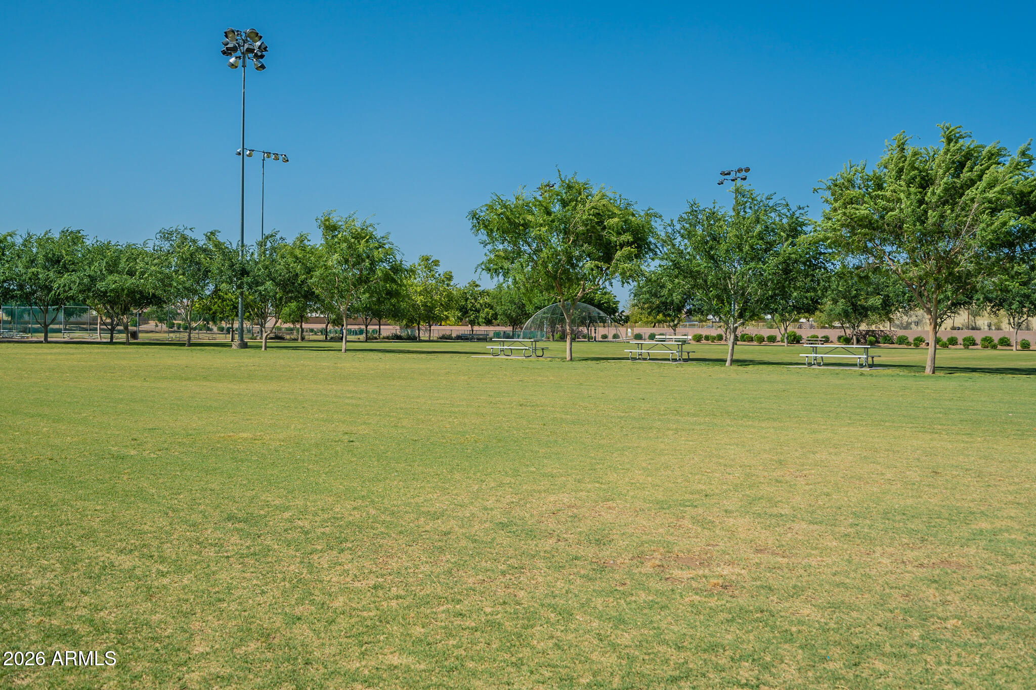 515 West Love Road San Tan Valley, AZ 85143 - Photo 71 of 74 a view of a ocean with a palm tree