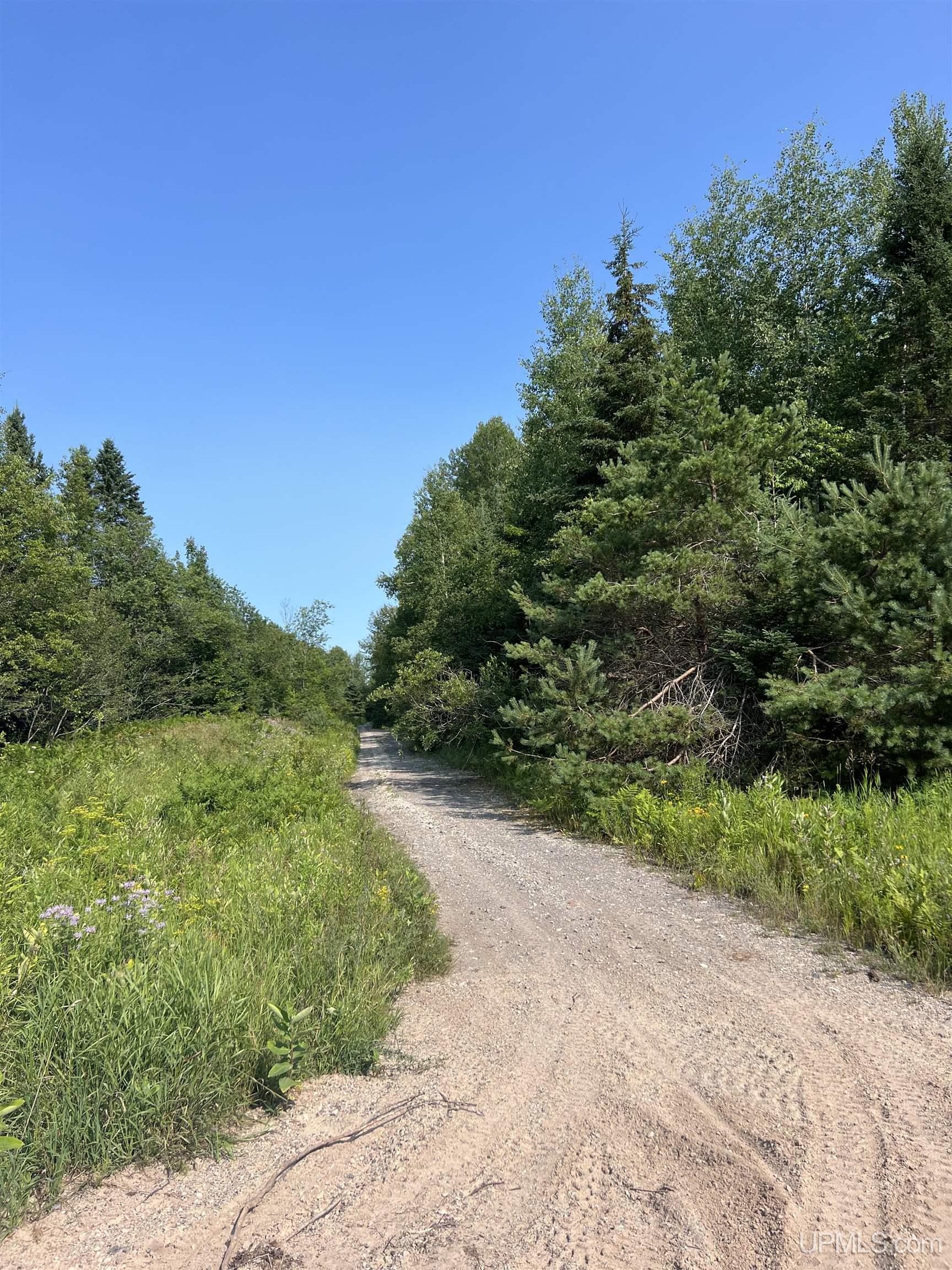 Tbd Tbd Ridge Road Munising, MI 49862 - Photo 30 of 33 Gallery Image 30
