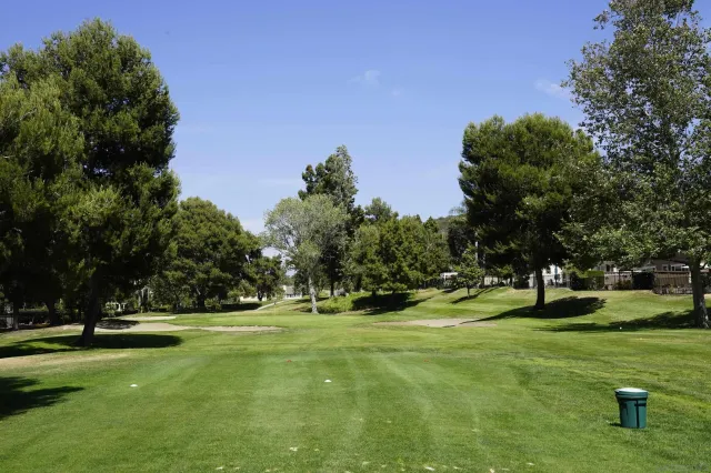 a view of field with trees