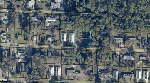 $60,000 | 0 Puryear Street, St. Augustine, FL 32084