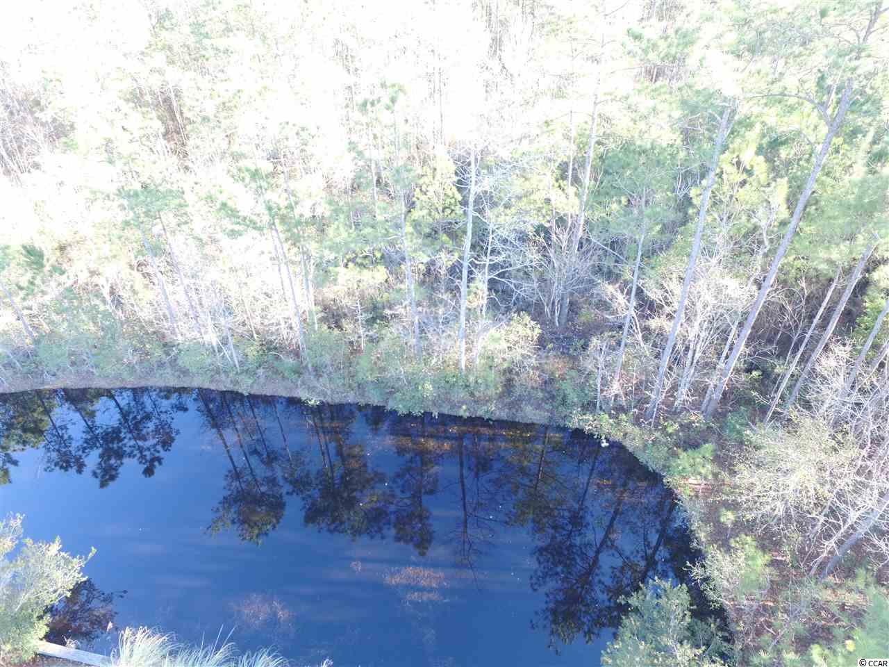226 Catawba River Road Myrtle Beach, SC 29588 - Photo 23 of 25 Gallery Image 23
