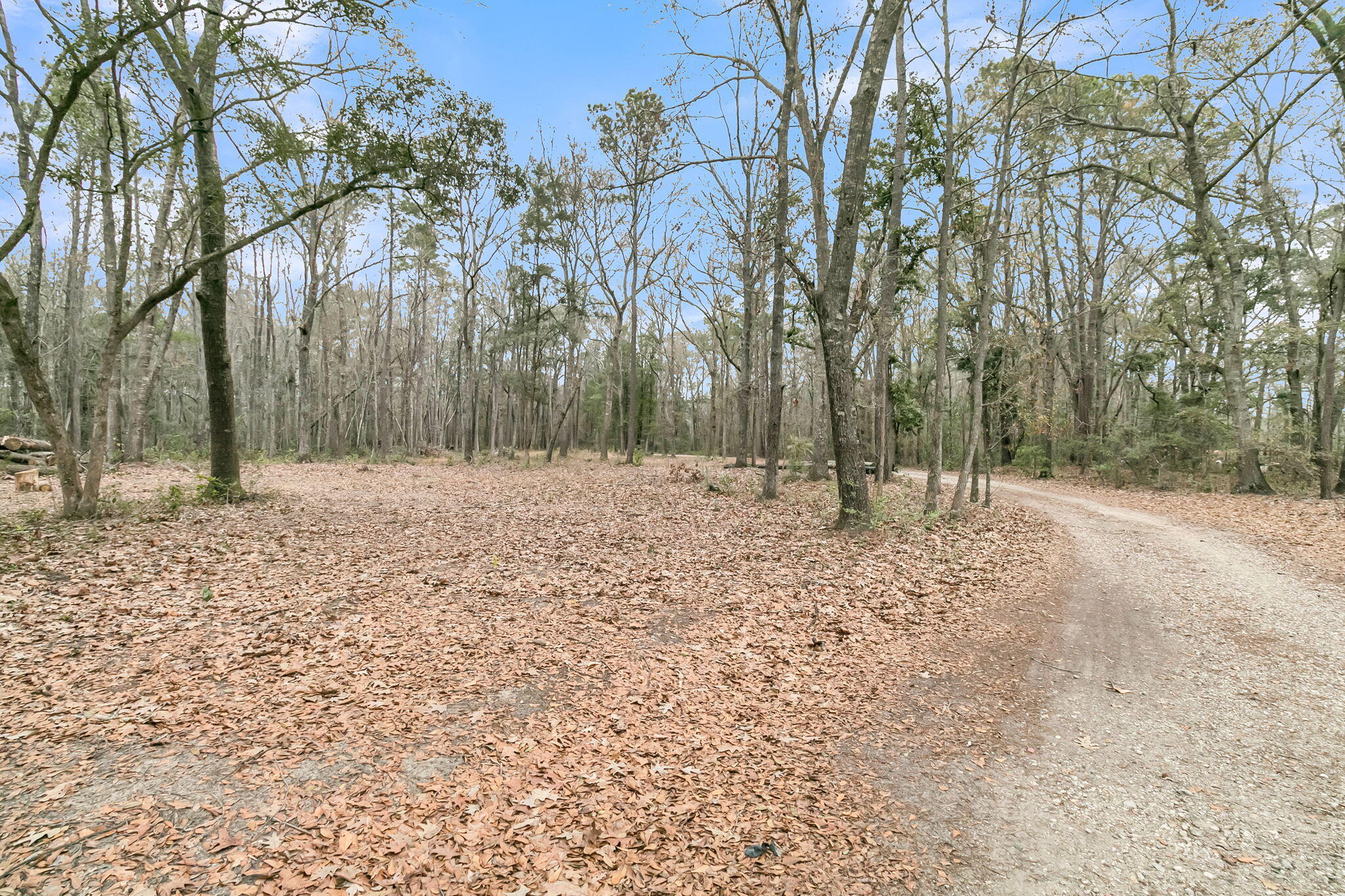 7769 Old Jacksonboro Road Adams Run, SC 29426 - Photo 41 of 50 CREM - 7769 Old Jacksonboro Rd-71