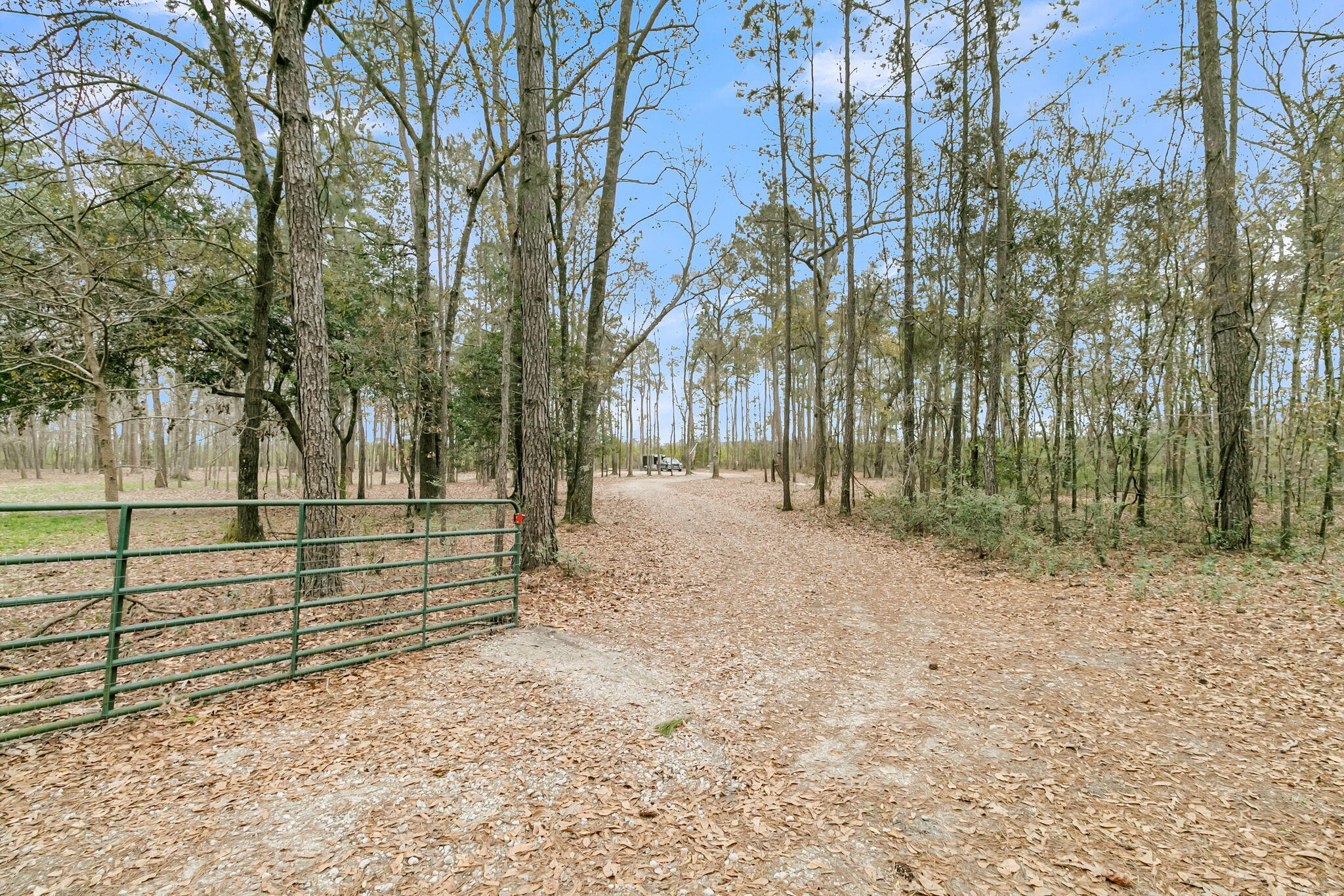 7769 Old Jacksonboro Road Adams Run, SC 29426 - Photo 42 of 50 CREM - 7769 Old Jacksonboro Rd-77