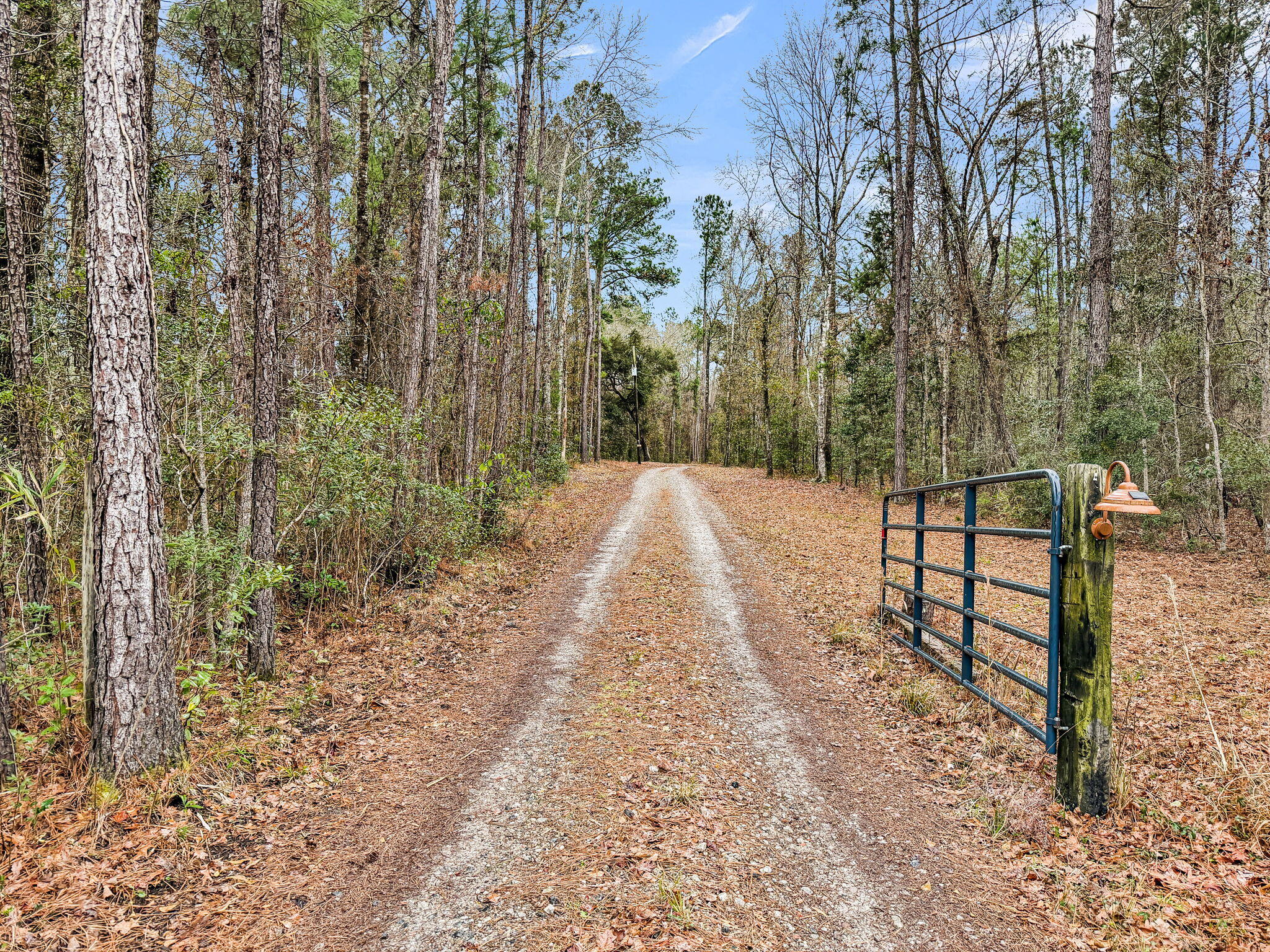 7769 Old Jacksonboro Road Adams Run, SC 29426 - Photo 50 of 50 CREM - 7769 Old Jacksonboro Rd-8