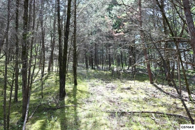 0 Lot 35 Buck Horn Road Sevierville, TN 37876 - Photo 6 of 30